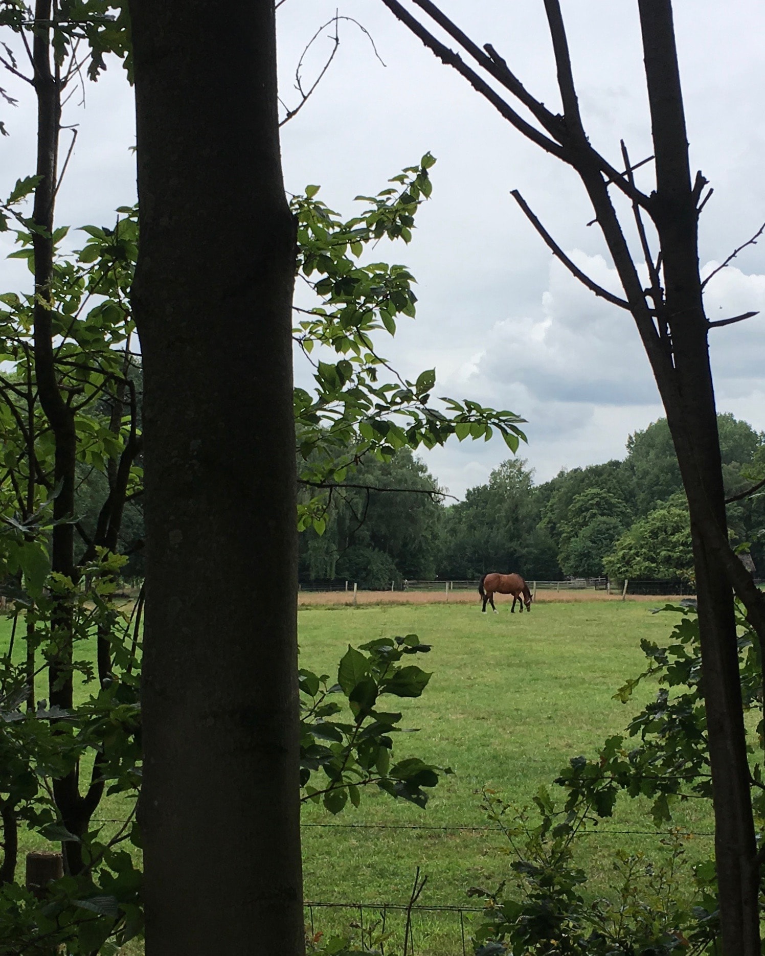 Hike in Brabant 5 of 11